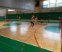 Področno tekmovanje v badmintonu